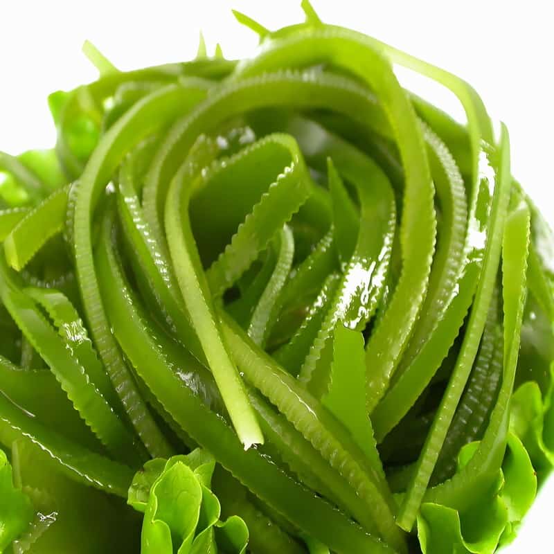 重庆蔬菜包装配送电话